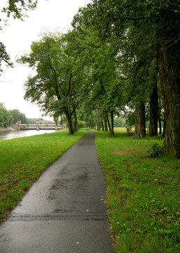 Podebrady - lane in the park