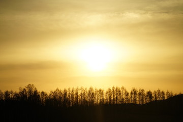 美英　夕日