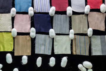 Silk fabric samples and silk cocoons