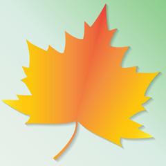Maple leaves colorful flat vector icon. Autumn background, cutout paper frame of yellow maple leave.