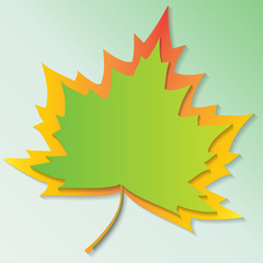 Maple leaves colorful flat vector icon. Autumn background, cutout paper frame of yellow maple leave.