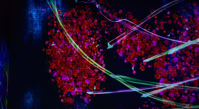 Teamlab Borderless Lichtkunst