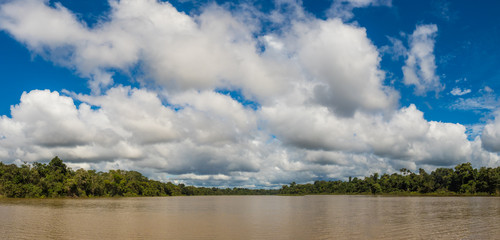 Obraz na płótnie Canvas Amazonia