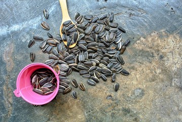 Sunflower seeds, nutrition There are many Whether it is vitamins such as vitamin A, vitamin E, vitamin B2 and other nutrients such as protein, iron, phosphorus and calcium.  