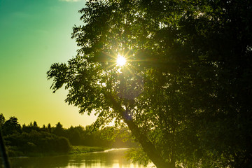 beautiful dawn on the river in a foggy morning