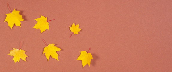 Autumn composition. Frame made of autumn maple leaves on brown background