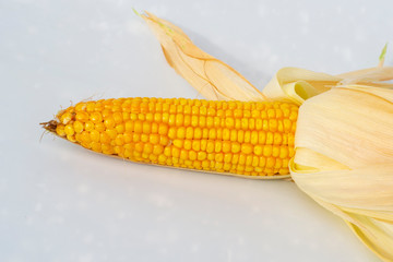 corn cob isolated on white background as packing design element