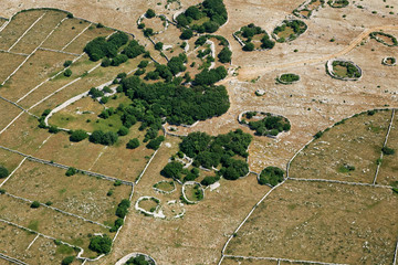Maze of dry walls on Krk