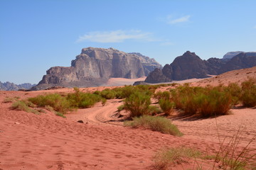 Désert Wadi Rum Jordanie