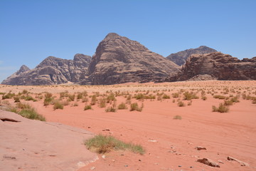 Fototapeta na wymiar Désert Wadi Rum Jordanie