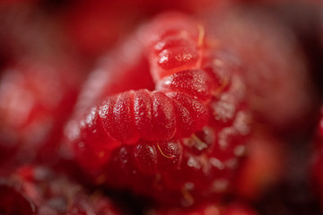 Fresh raspberry on raspberry background