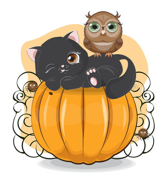 Halloween black cat on pumpkin with owl