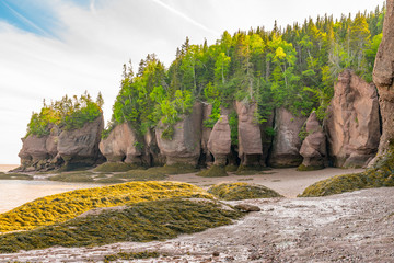 Rock Formations in Hopewell Rocks Park, New Brunswick