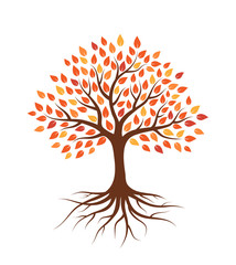 Naklejka na ściany i meble Tree with autumn leaves and roots. Isolated on white background. Flat style, vector illustration. 