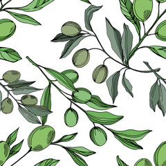 Vector Olive branch with fruit. Black and white engraved ink art. Seamless background pattern.