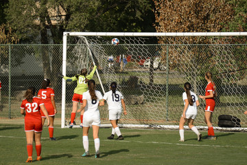 Goalie attempts to save the goal