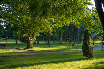 Green park sunny afternoon