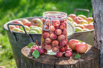 Closeup of canned apples in the sunny garden