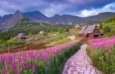 Papier Peint photo autocollant Tatras mountain landscape, Tatra mountains panorama, Poland colorful flowers and cottages in Gasienicowa valley (Hala Gasienicowa), summer