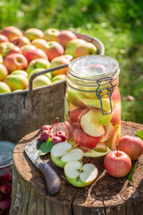 Preparation for canned apples in the sunny green garden