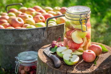 Preparation for canned apples in the summer green garden