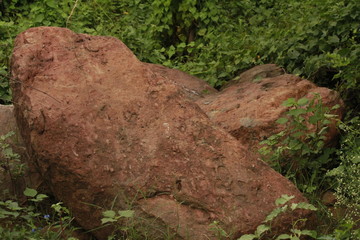 Rocks in green field