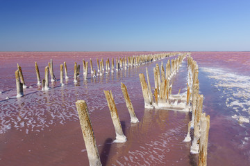 View of the wreckage of a wooden dam on the delightfully bright pink lake Sasyk-Sivash Textured wood covered with salt crystals. West of the Crimean Peninsula, Yevpatoria