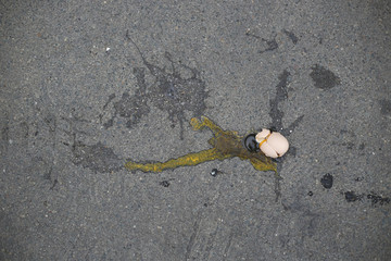 A broken egg with spilled egg yolk and egg white on the street floor