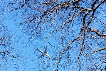 The plane can be seen through the branches of trees. White plane in the sky.
