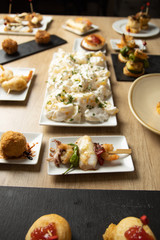 Variety of delicious Spanish tapas