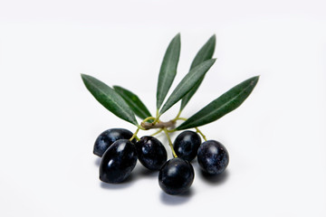 Ripe black olives with leaves on a white background