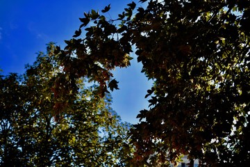 Obraz premium Himmel