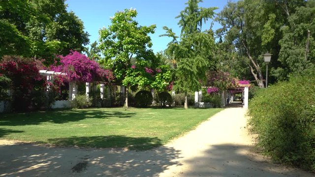 The colorful and relaxing Maria Luisa Park on a sunny summer day in Sevilla, Andalusia, Spain.