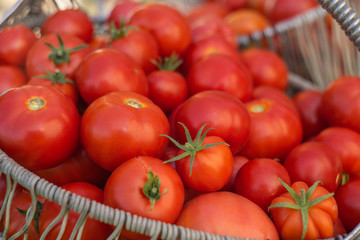 basket of red ripe tomatoes,texture tomatoes
