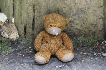 teddy bear on wooden background