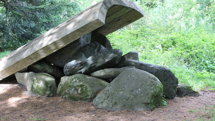 boulders and wooden slab in forest