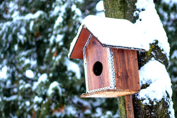 Bird feeder in winter park. Bird house hanging outdoors in winter on tree covered with snow