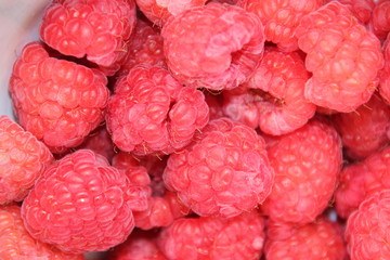 raspberries on white background
