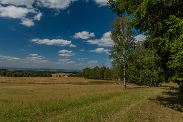 Fototapeta na wymiar Meadows and pasture land near vanished village Smrkovec in summer hot day