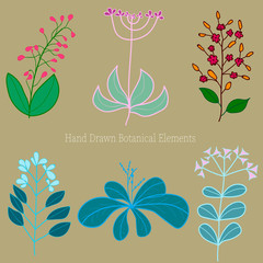 set of original hand-drawn flowers on a light brown background