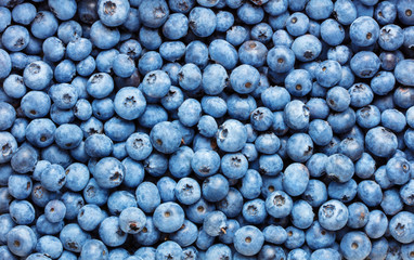 heap of blueberry fruits as textured background