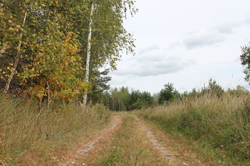 Russian nature (beginning of autumn)