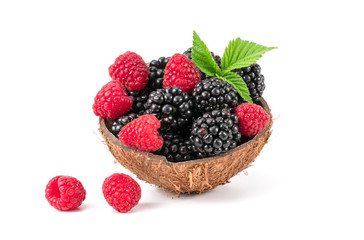 blueberries and blackberries on a white background