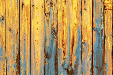 yellow and blue color painted old wooden planks texture