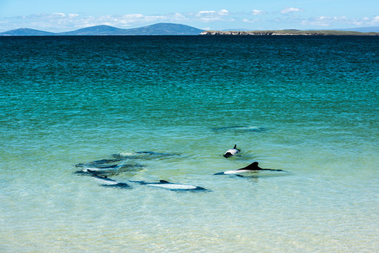 Playing in the Shallows