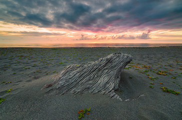 Driftwood Buried in the Sand Under a Dramatic Sunset at the Beach, Color Image