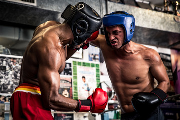 Friendly boxing sparring