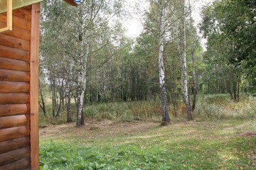 The nature of Russia