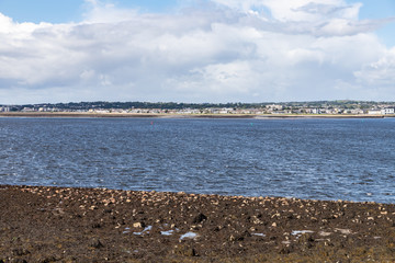 Rocks and seaweed in Hare Island with  Galway city in background
