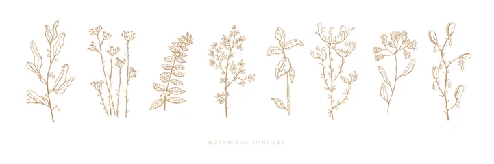 Stellen Sie handgezeichnetes Gras und Blumen auf weißem, isoliertem Hintergrund ein. Trendige Wildblumen und Kräuter. Botanische Illustration. Dekoratives Blumenbild. © KOSIM